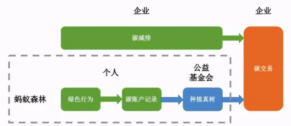 ｜紧急｜指南 蚂蚁森林快速养成 速攻｜2025年04月攻略