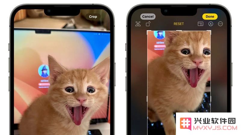 苹果 iOS 17 照片应用有哪些升级和改进？