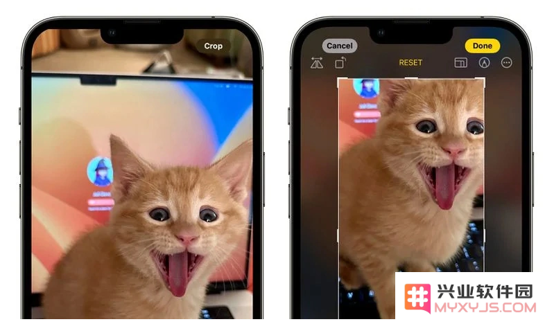 探索 iOS 17 “照片”应用全新操作逻辑及其使用技巧