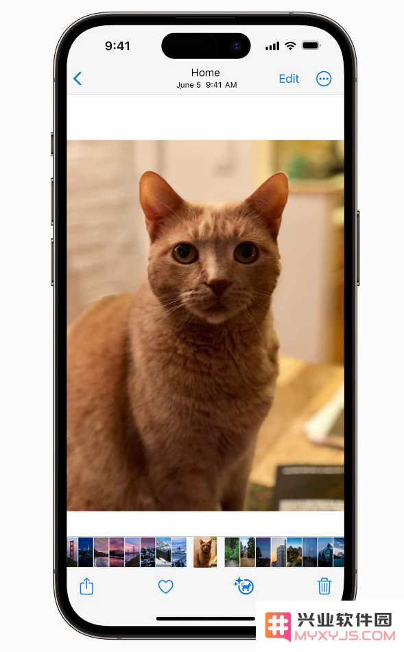 iOS 17 预览版更新内容汇总