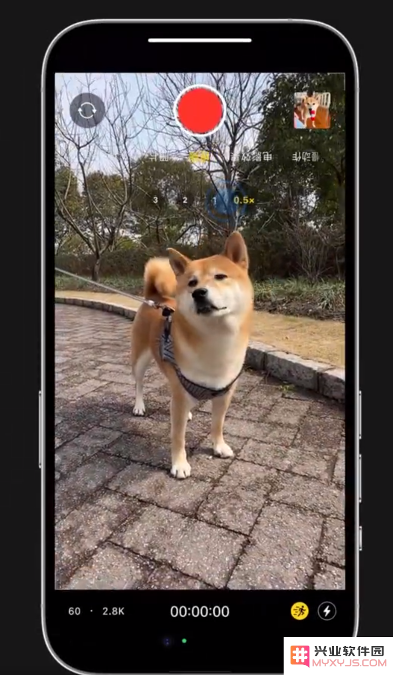 小技巧：在 iPhone 14 上手持拍摄也能保持画面稳定