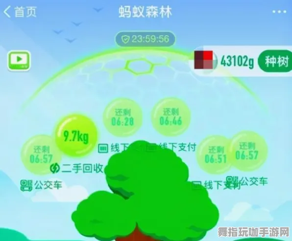‖最新｜套路 蚂蚁森林快速养成 数据党｜2025年04月攻略