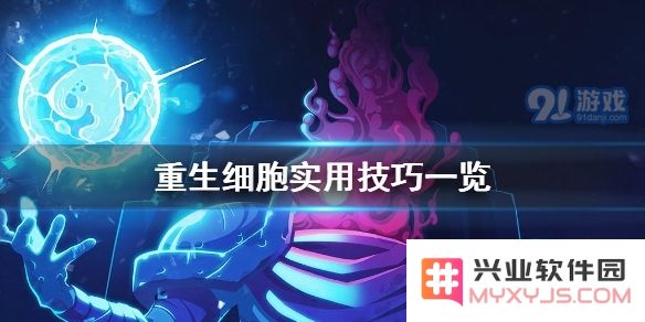 重生细胞中玩家必备的实用技巧与攻略分享