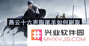 燕云十六声脂尾羊快速刷取秘籍