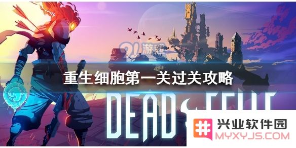 如何顺利通关重生细胞的第一关，技巧与策略大揭秘