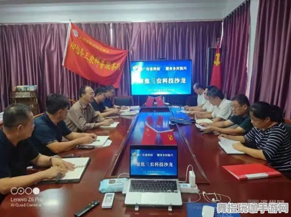 2025｜全新指南｜联动活动｜羊了个羊无广告版详尽攻略与玩法解析