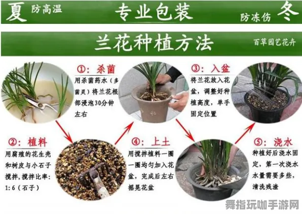2023年全新解析｜最新福利登录攻略现已发布：0 正在进行中｜详细攻略介绍