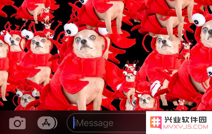 iOS 16 实用技巧：利用抠图功能与 iMessage 特效轻松分享有趣的图片体验