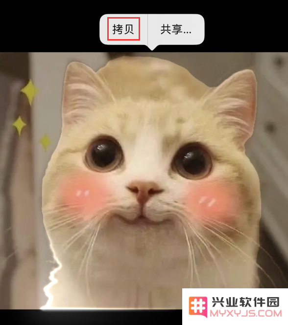 iOS 16 小技巧：使用抠图功能和 iMessage 特效分享趣味图片