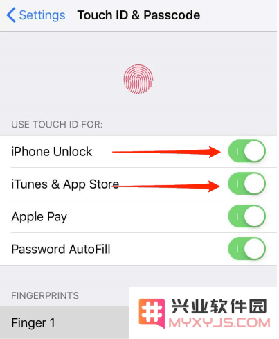 苹果iPhone出现“无法在此iPhone上激活Touch ID”怎么办？解决办法汇总
