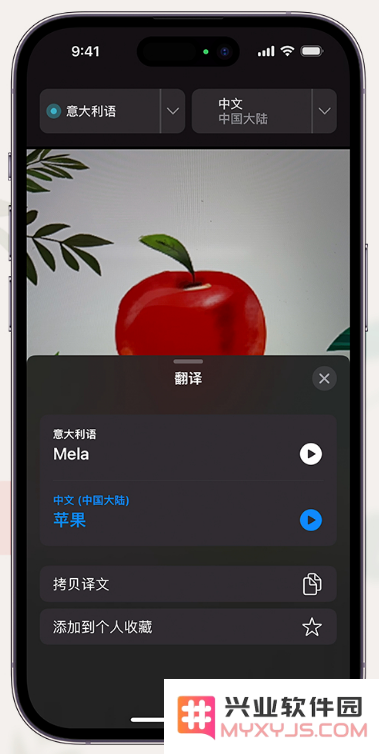 iPhone14通过摄像头取景实时翻译文本方法教程