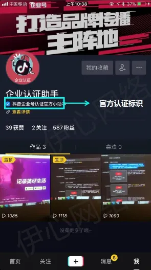 最新解析：1 抖音热潮丨细解铁拳8帧数数据与玩法攻略，助你轻松上手