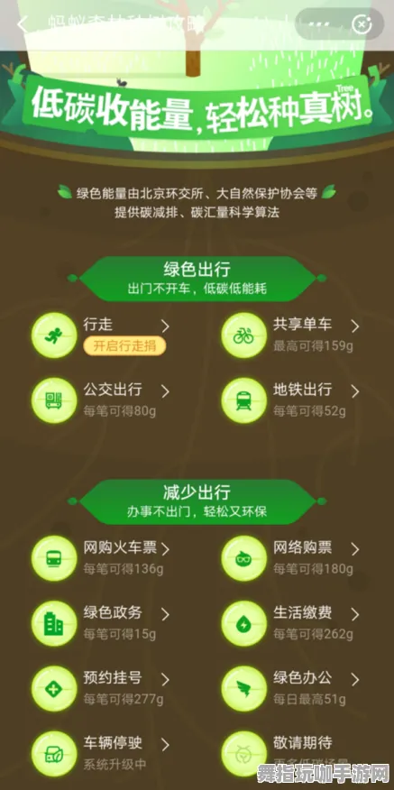 ▶最新揭秘｜蚂蚁森林速成攻略首度发布 v0425｜快速养成秘诀大揭秘