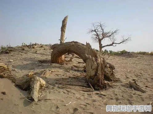 抖音热门攻略｜蚂蚁森林道具兑换技巧及星推推荐｜2025年04月最新玩法详解