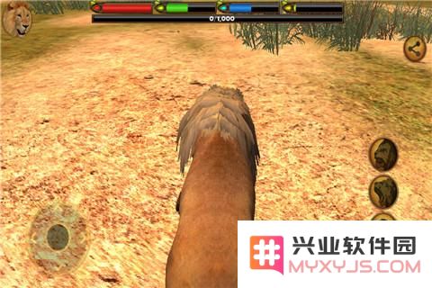 3D狮子模拟游戏的真实体验及是否值得一试的玩法攻略分析
