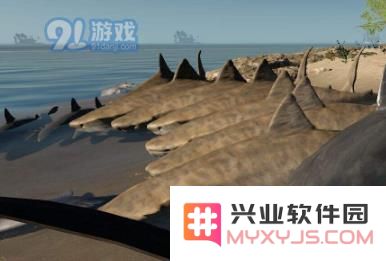 荒岛生存中各类鱼类的详细介绍与属性全面分析