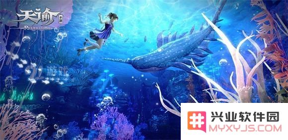 天谕手游固定队最佳组合搭配指南，提升团队作战效率的方法与技巧