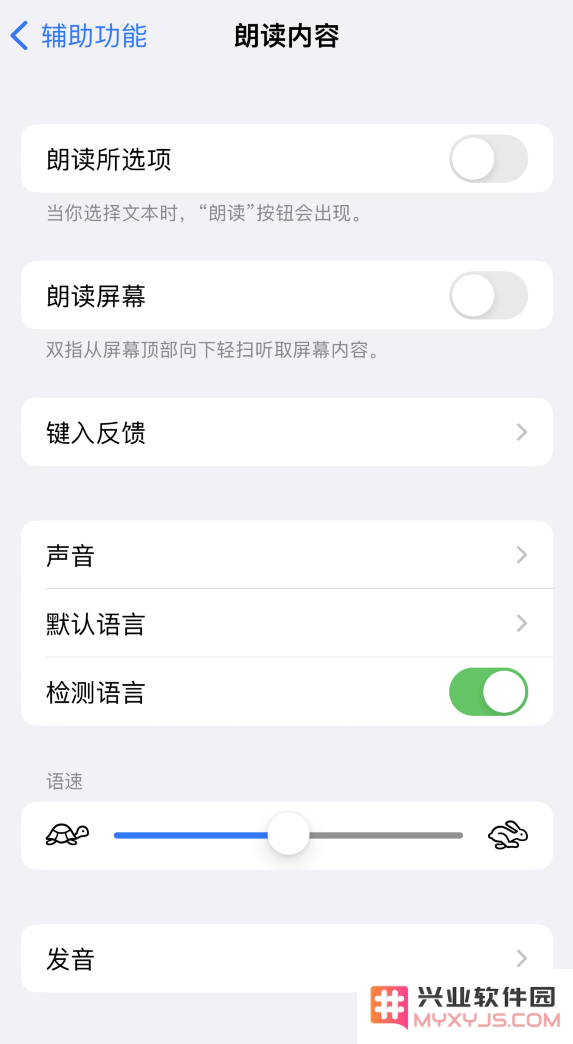 iOS 16 小技巧：让 iPhone 朗读屏幕上的内容或所选择的文本