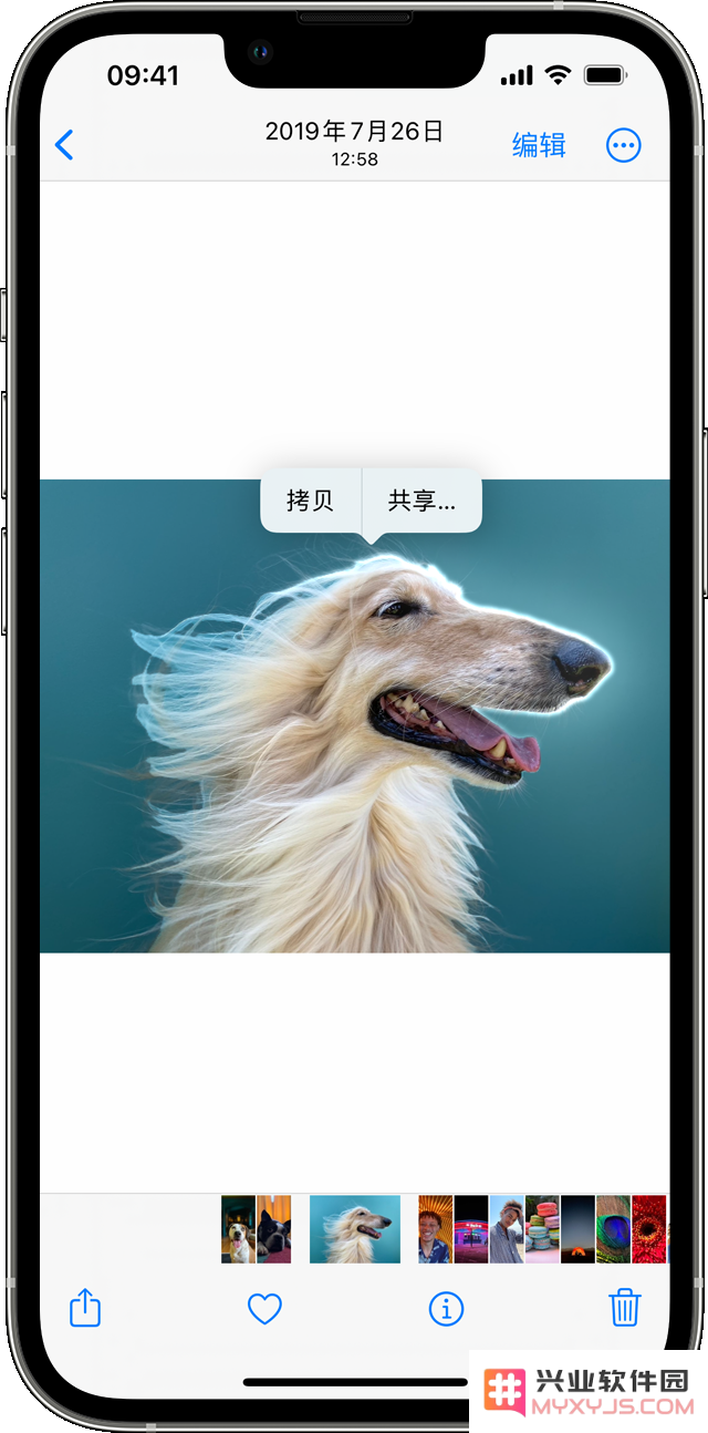 苹果官方推荐：10 个必知 iPhone 使用技巧，让你的手机使用体验更上一层楼！