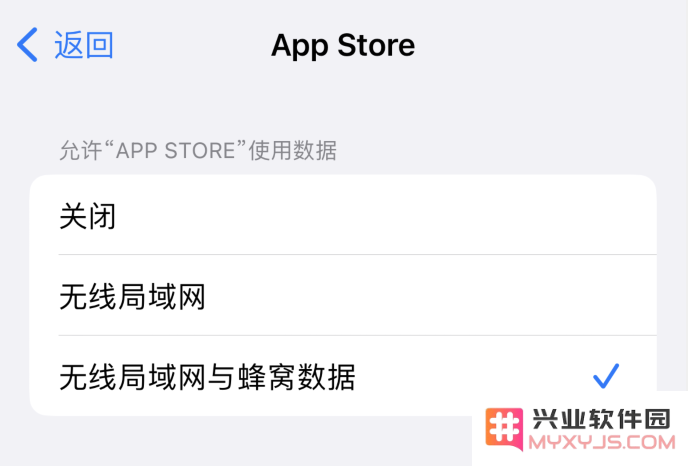 无法在 iPhone 上打开 App Store 怎么办？