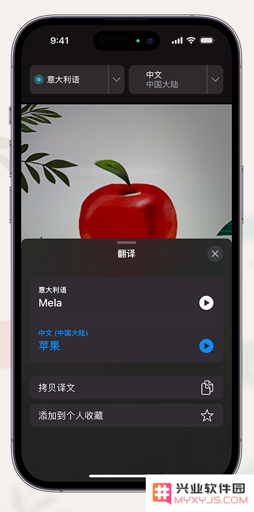 iPhone 小技巧：支持通过摄像头取景翻译文本
