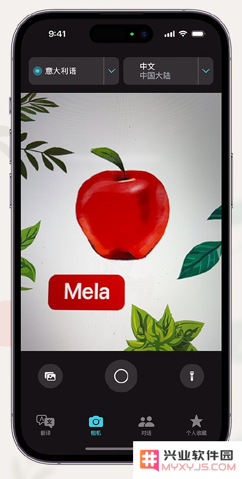 iPhone 小技巧：支持通过摄像头取景翻译文本