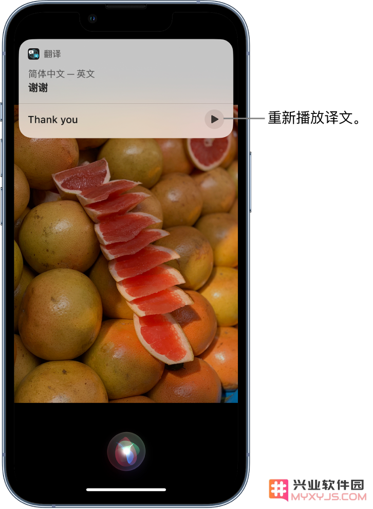 在 iPhone 14 机型中使用 Siri：了解 Siri 能帮你做什么