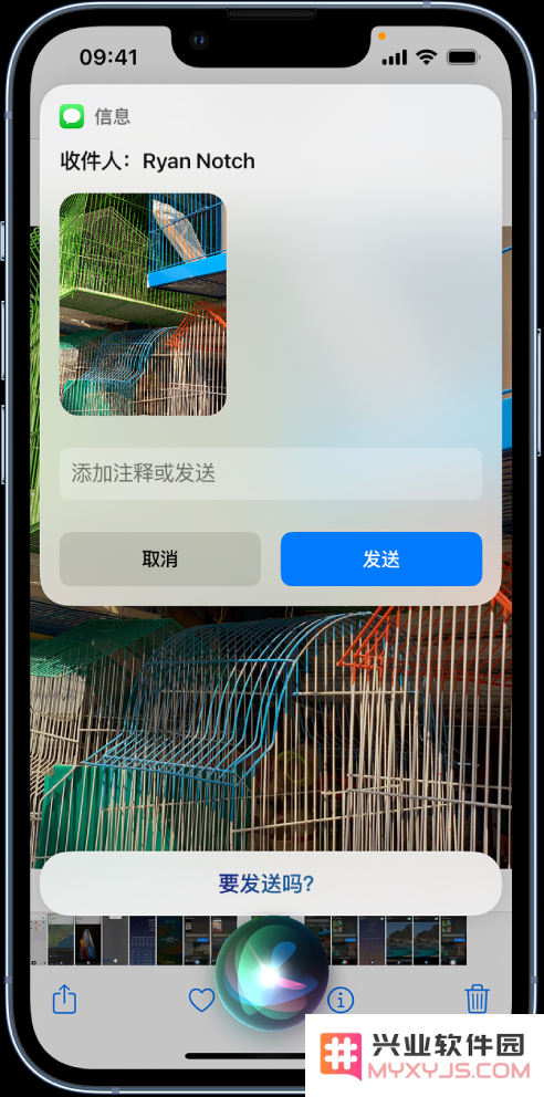 在 iPhone 14 机型中使用 Siri：了解 Siri 能帮你做什么