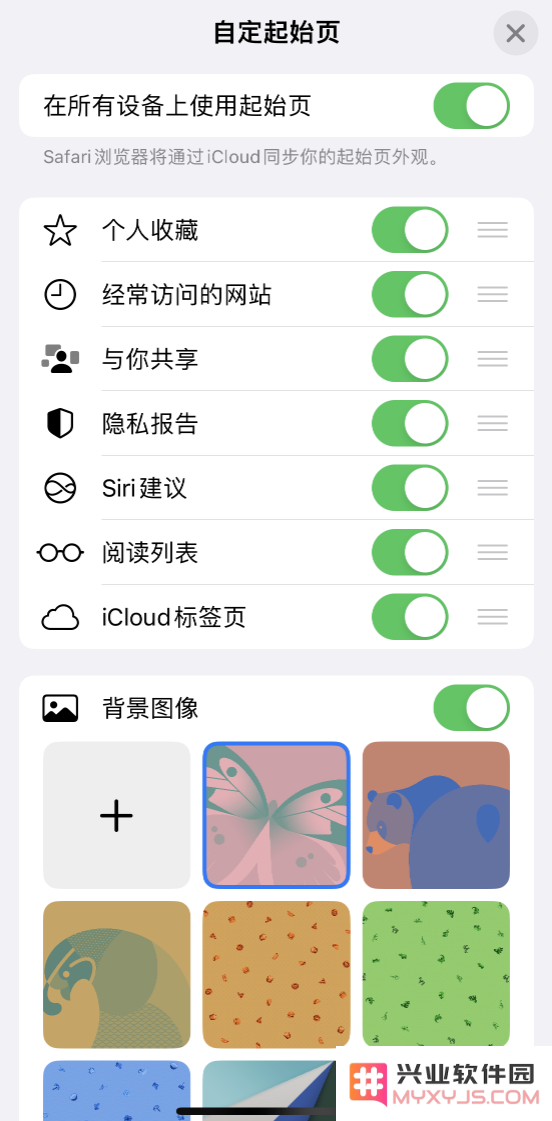 苹果 iPhone 14 系列机型如何自定义浏览器设置？