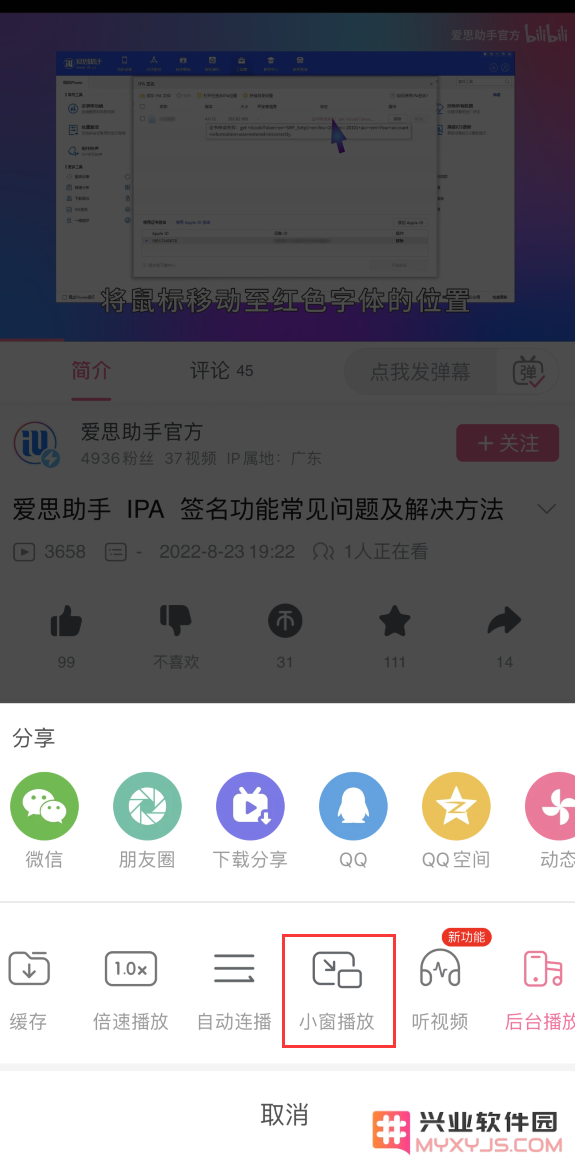 在 iPhone 14 系列机型中如何高效利用“画中画”功能进行多任务处理？