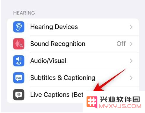 如何在 iPhone14 上开启实时字幕功能？