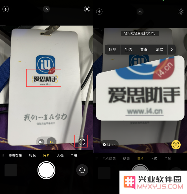 在升级到iOS 16之后，使用相机功能如何高效翻译图片中的文本内容？