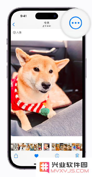 iOS 16 全新功能：轻松批量修图，支持复制与编辑让你省时省力