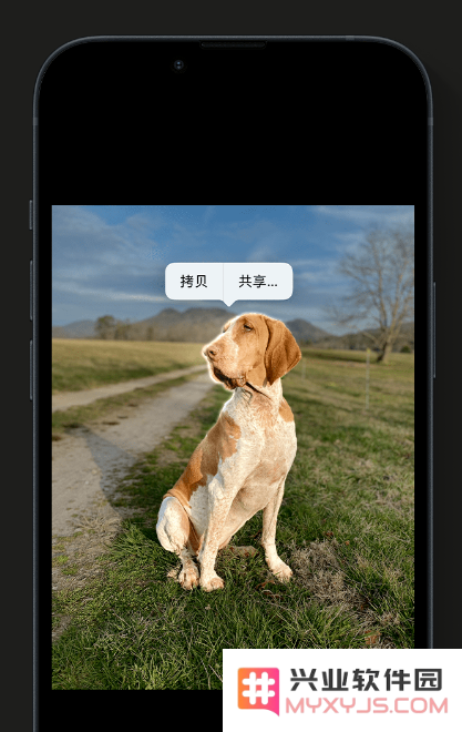 苹果官方推荐体验这些 iOS 16 新功能：精彩锁屏、一键抠图、实况文本等