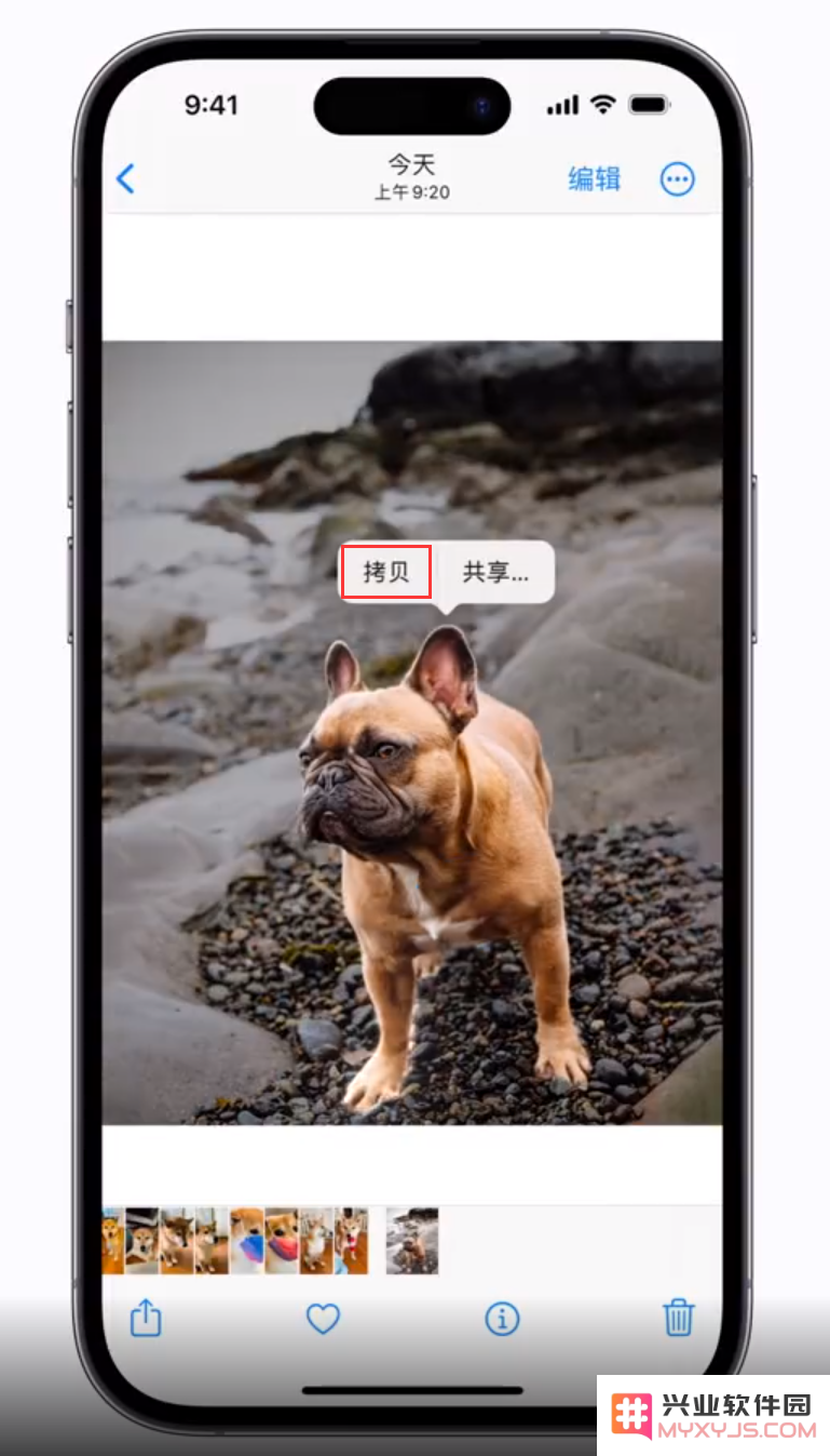 苹果 iOS 16 新增一键抠图功能，快来了解如何使用它来轻松处理图片