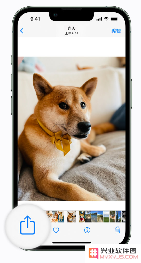 iPhone 使用小窍门：在分享照片之前切勿忽视隐私设置的重要性
