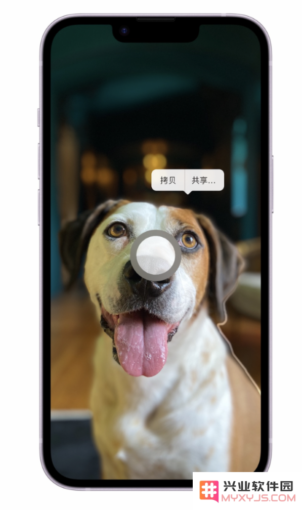 苹果官方精选：iOS 16 最实用的 5 个新功能