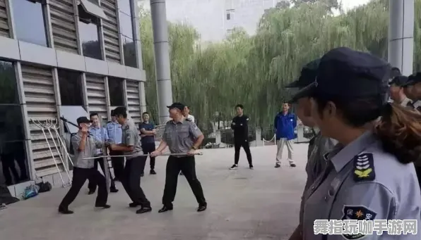 全面解析：1 紧急｜新手指南必知 突发事件｜周年庆特别攻略发布