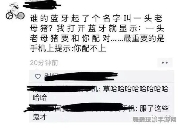 ‖最新｜秘籍 最新｜版本更新｜庄园小鸡能量保护 能量保护策略：17小时持续收益攻略