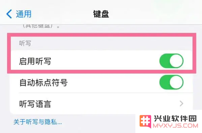 苹果iPhone14如何开启听写功能？