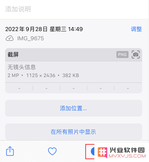 5 个 iPhone 小技巧：让拍摄和编辑照片更轻松