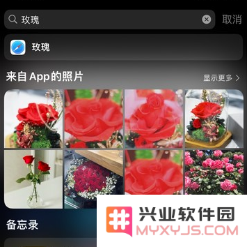 5 个 iPhone 小技巧：让拍摄和编辑照片更轻松
