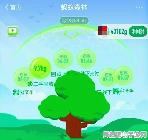 ｜首次揭秘｜新手必读 蚂蚁森林速成指南 数据控必看｜2025年04月最新攻略