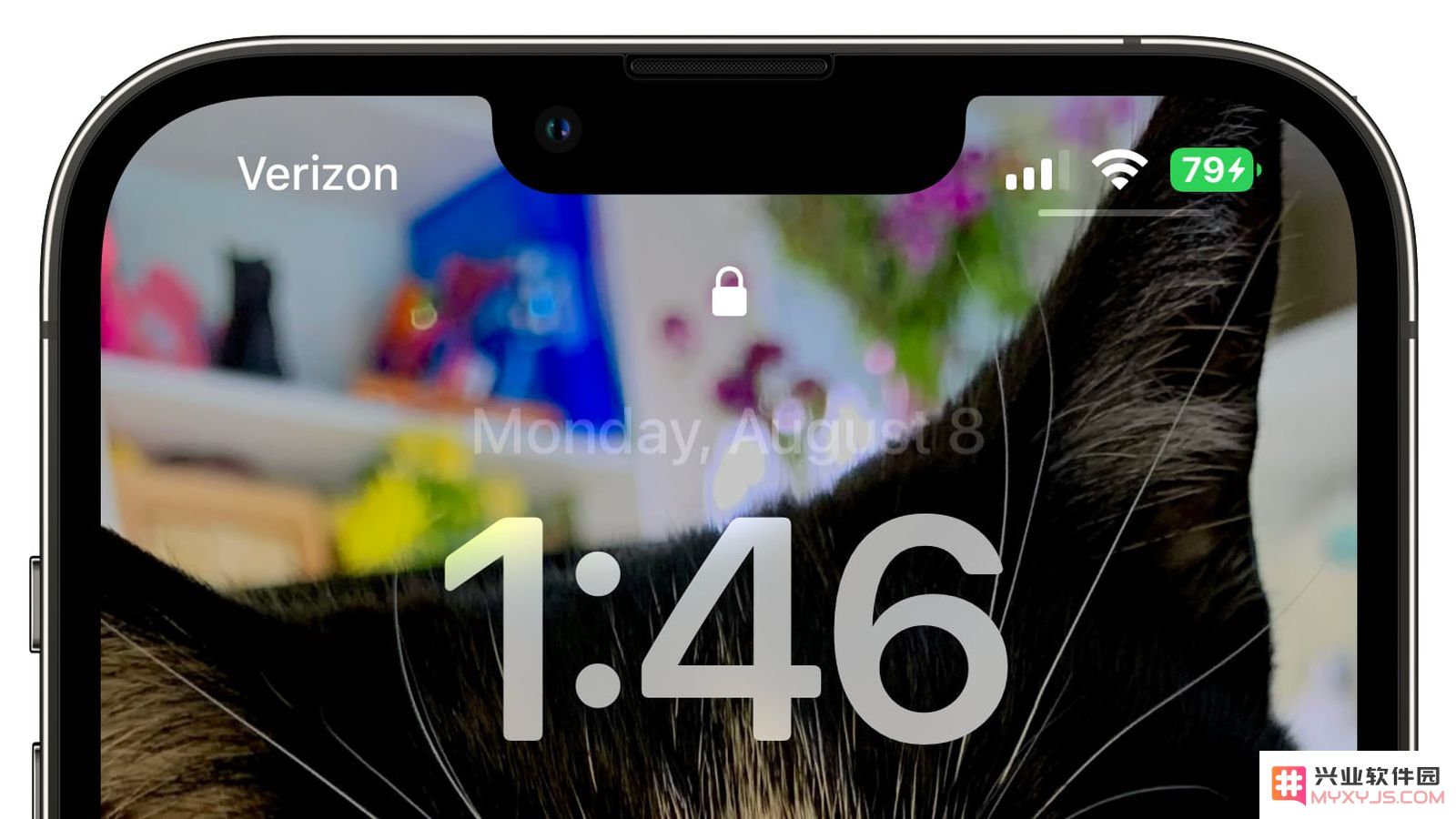 iOS 16 beta 5 支持状态栏显示电池百分比，如何开启？支持哪些机型？