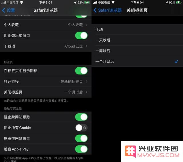 一键关闭所有 Safari 标签页方法教程