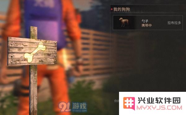 明日之后好感度的作用是什么？如何提高明日之后中的好感度？