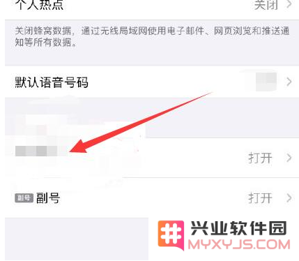 iPhone手机4G网络怎么设置成5G网络？