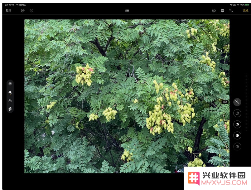 如何通过 iPhone 捕捉具有浓厚“德味”的摄影作品与美丽风景？