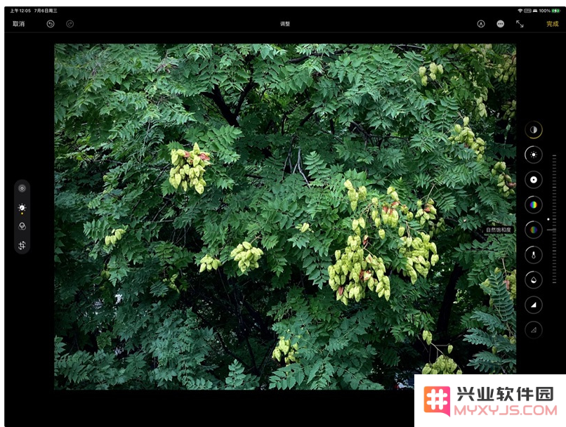 如何用 iPhone 拍出“德味”照片？