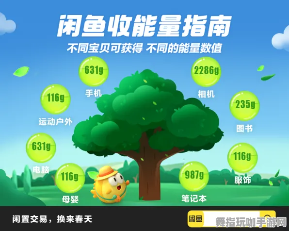 最新｜套路 紧急｜周年庆｜蚂蚁森林能量保护 能量保护策略：23小时持续收益攻略
